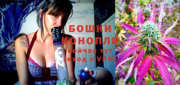 индика Верея
