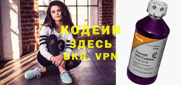 индика Верея