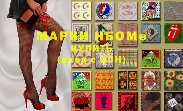 индика Верея