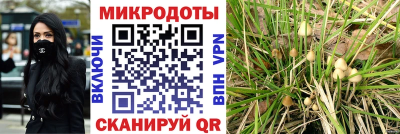 цены наркотик  Владикавказ  Псилоцибиновые грибы Psilocybe 